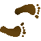 6BFFEETR.GIF