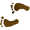 6BFFEETL.GIF