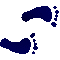 6BCFEETR.GIF