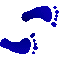 6BBFEETR.GIF