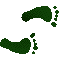 6B8FEETR.GIF
