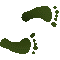 6B6FEETR.GIF