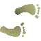 6B4FEETR.GIF