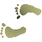 6B4FEETL.GIF