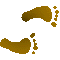 6B3FEETR.GIF