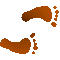 6B2FEETR.GIF
