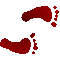 6B1FEETR.GIF