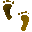 3B3FEETU.GIF