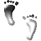 64JFEETU.GIF