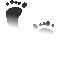 6EJFEETU.GIF
