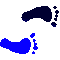 6EBFEETR.GIF