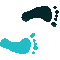 6E9FEETR.GIF