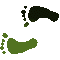 6E6FEETL.GIF
