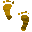 3G3FEETU.GIF
