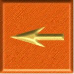 sf2a8787.gif
