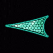 sf2a2224.gif