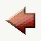 SFAR8951.gif