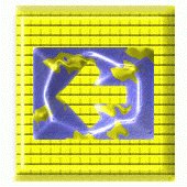SFAAR854.gif