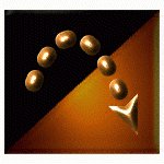 sf2a5817.gif