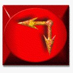 sf2a4484.gif