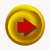 sf2a9110.gif