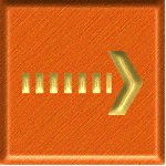 sf2a8809.gif