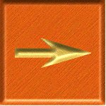 sf2a8786.gif