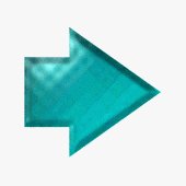 sf2a8472.gif