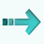 sf2a8429.gif