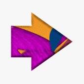 sf2a7081.gif