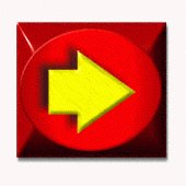 sf2a4411.gif