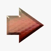 SFAR8950.gif