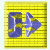 SFAAR889.gif
