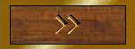 BUTN224.GIF