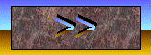 BT0211.GIF
