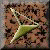 60FOR01.gif