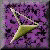 56FOR01.gif