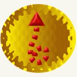 sf2a9060.gif