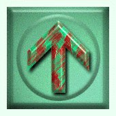 sf2a6481.gif