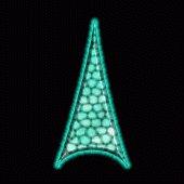 sf2a2221.gif