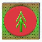 SFAR4880.gif