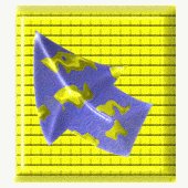 SFAAR862.gif