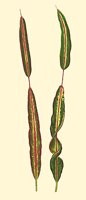 709625.JPG
