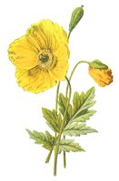 710437.JPG