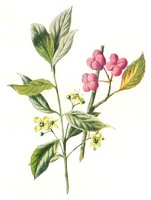 710424.JPG