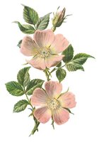 710423.JPG