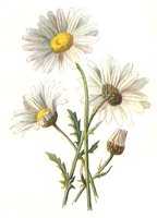 710418.JPG