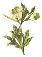 710415.JPG
