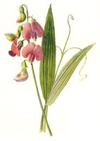 710405.JPG