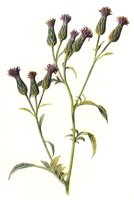 710404.JPG